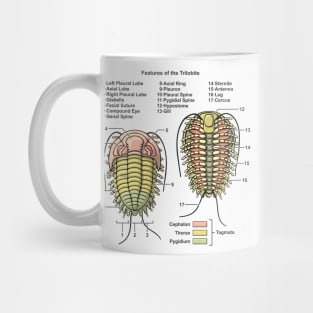 Trilobite Morphology Diagram Mug